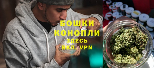 тгк Лиски