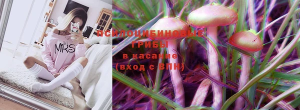ECSTASY Липки
