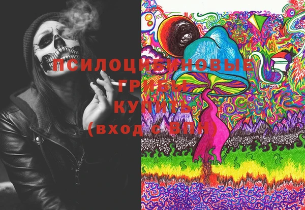 ECSTASY Липки
