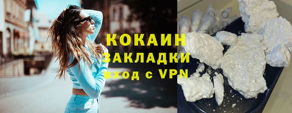 тгк Лиски