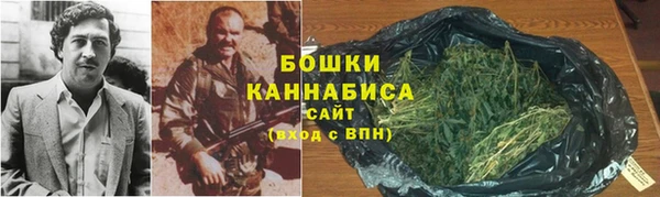 тгк Лиски